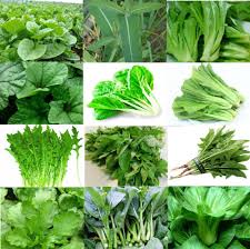 「無料　緑葉野菜」の画像検索結果