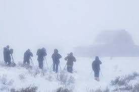 Heavy Snow Warning, up to 12 Inches To Hit—‘Dangerous Conditions’