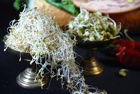 ماسک جوانه گندم برای  محافظت پوست در پاییز