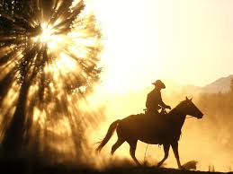 Image result for cowboy