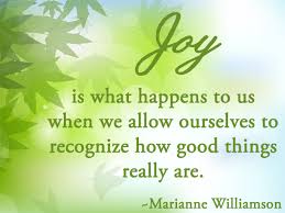 Williamson-Joy-Quote.jpg via Relatably.com