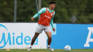 Palmeiras