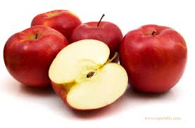 Image result for APPLE FRUIT PICTURE