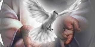 Image result for imagenes paloma espiritu santo