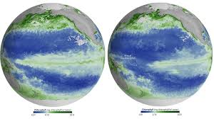 NASA görüntüledi: El Niño okyanusun rengini değiştirdi — Euronews.com