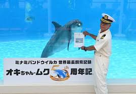 Yahoo!ニュース - News update