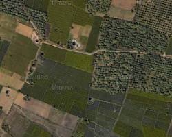 صورة satellite image of agricultural fields