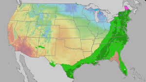 Easter Weekend Looking Messy With Rain, Storms, Snow, Ice