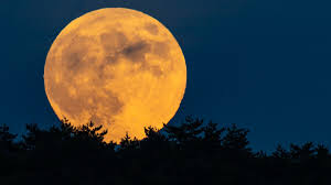 السماء تستقبل مساء الخميس "القمر البارد".. آخر قمر عملاق لـ2025