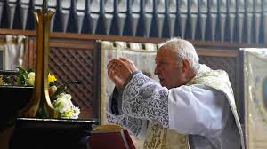 Image result for Photo of Fr.Stefano Manelli at Mass