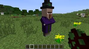 Image result for witch nose moving minecraft