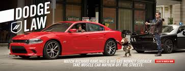 Image result for MONKEYS