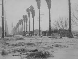 Image result for intuitivefred888