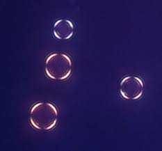 Resultado de imagem para birefringent visual effects