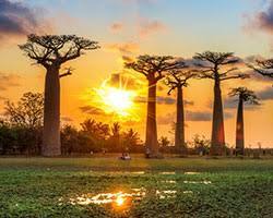 جزیره ماداگاسکار -  مکان‌های دیدنی آفریقا