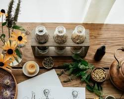 Herbal Academy website