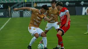 Venados Vs Dorados