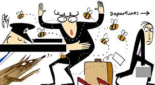 Image result for sniffer bees