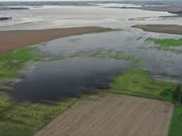 ¡Alerta Trigo! Inundaciones Azotan la Pampa Húmeda: ¿Catástrofe Agrícola? - Imagen principal del artículo