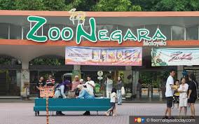 Free Malaysia Today - News update