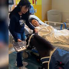 Watch a mini horse help wake patients from anesthesia with ...
