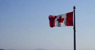 CTV News - News update