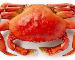 Image of Alaskan Dungeness Crab