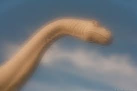 Résultat de recherche d'images pour "zone plate"