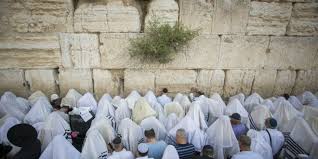 Image result for many kohanim