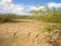 Resultado de imagen de lucha contra la desertificacion