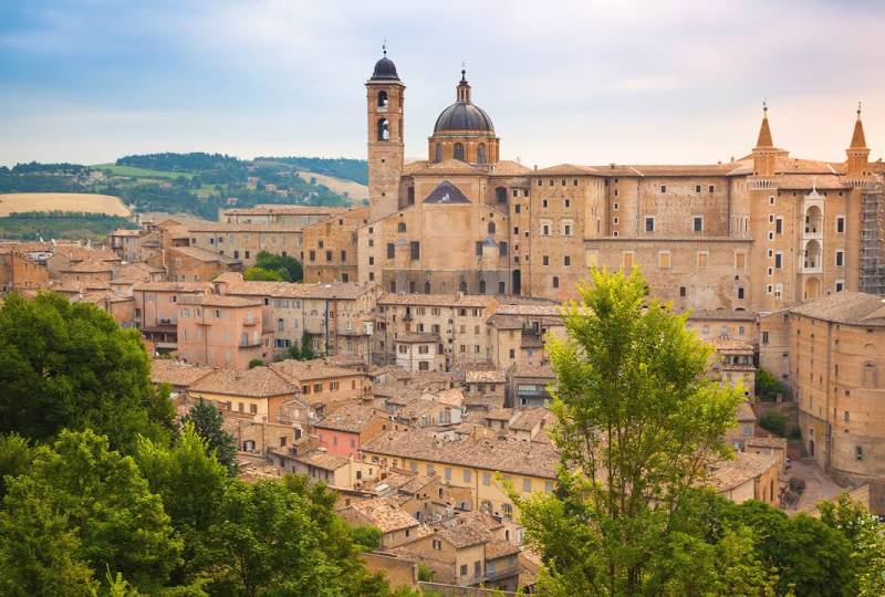 Urbino