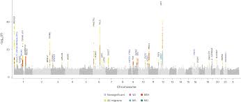 Uncovering the Pathology of Migraine Subtypes, with and without Aura, through Rare Variants with Significant Functional Impacts