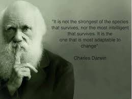 Intelligence | Fabulous Quotes via Relatably.com