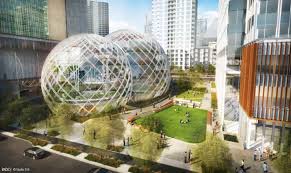 Image result for amazon bubble building