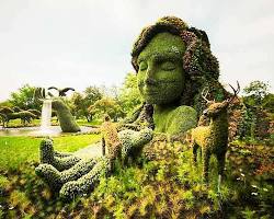 Immagine di Giardino Botanico di Montréal