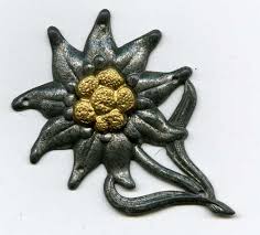 images?q=tbn:ANd9GcRuhCC9fq-nA3rYQX4oaVSQWsDUtBCiIOo3QELcTyOTJEvoEzMM