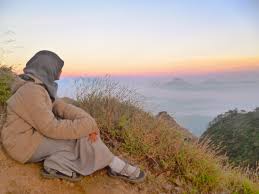 Hasil gambar untuk pecinta alam indonesia