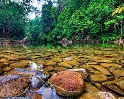 پارک ملی کینابالو مالزی -  تور لحظه آخری مالزی