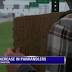 City confirms more panhandlers in Lexington since Kentucky ...
