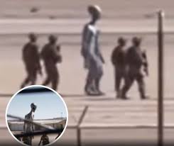 Bangkok - Prime Minister Anutin Chanvirakul responded to United States President Donald Trump on Saturday, saying that the landmine incidents along the Cambodian border that injured several Thai soldiers were definitely not