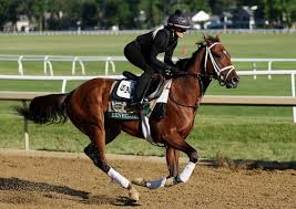 belmont stakes