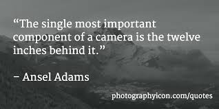 153 Fantastic Photography Quotes | Icon Photography School via Relatably.com