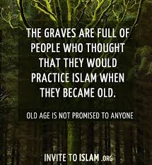 Image result for grave islam