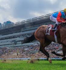 Ka Ying Rising and Kiwi racing’s Three Kings: We may never see anything like this again