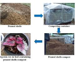 Peanut shell compost