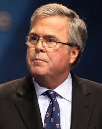 Image result for jeb bush