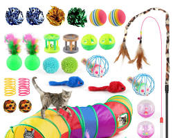 Cat toys