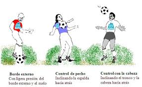 Resultado de imagen para EJERCICIOS PARA FUTBOL