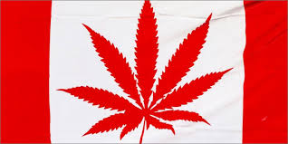 Resultado de imagen de Legalization