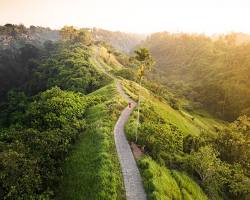 Gambar Bukit Campuhan sunrise Bali